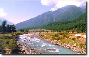 Kashmir